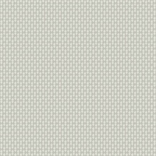 Taupe & White Petal Modern Fleur de lis Wallpaper