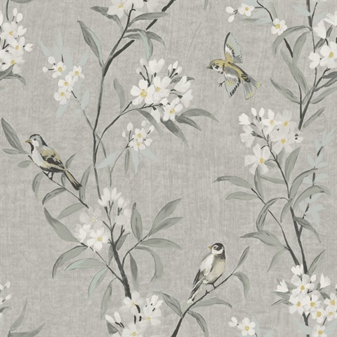 Tea Olive Grey Finch Frolic Wallpaper