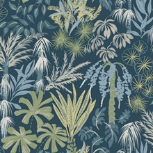 Teal Everglades Tropical Palm Trees Wallpaper