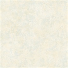 Tearose Grey Parchment Texture Wallpaper