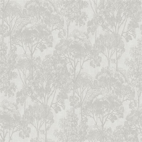 Teatro White Forest Trees Wallpaper
