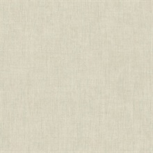 Temecula Khaki Texture