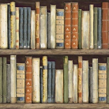 Terrace Bookcase  Captain Wallpaper