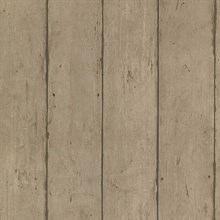 Teton Light Brown Wood Plank