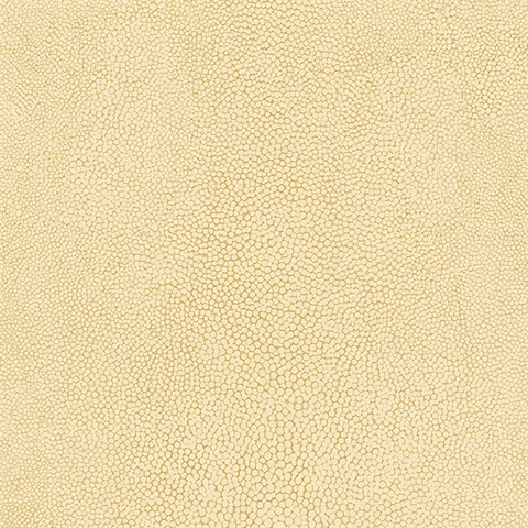 Textured Spot