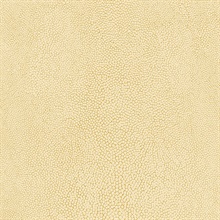 Textured Spot