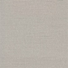 Theon Grey Linen Texture