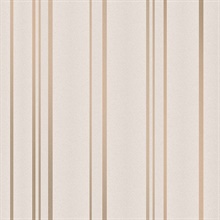 Thierry Rose Gold Stripe