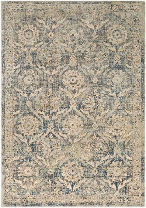 THN1022 Tharunaya - Area Rug