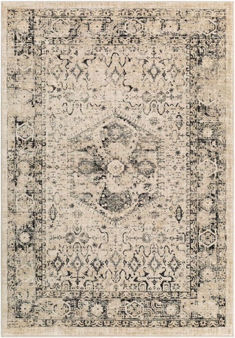 THN1027 Tharunaya - Area Rug