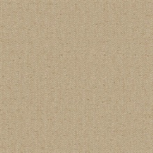 Thomas Cheveron White Sand Wallpaper
