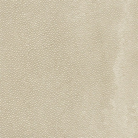 Tiburon Shagreen Beach