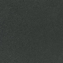 Tiburon Shagreen Cosmos