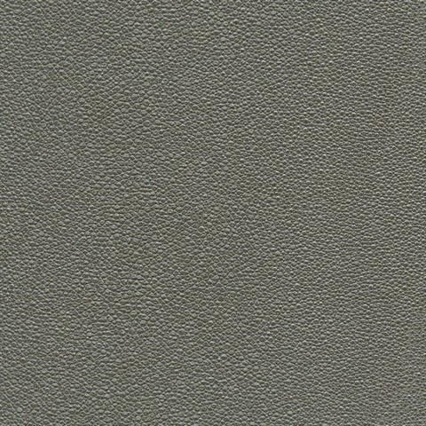 Tiburon Shagreen Geode