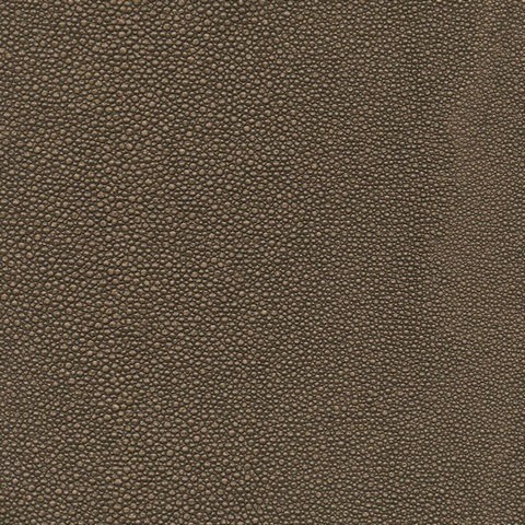 Tiburon Shagreen Rembrandt