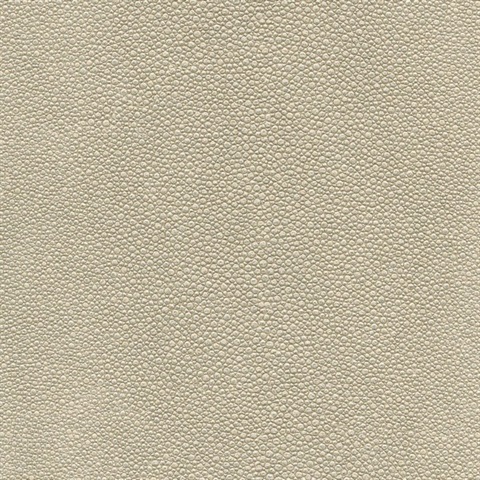 Tiburon Shagreen Silverplate