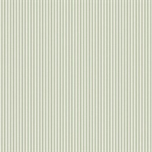 Ticking Light Green Stripe Wallpaper