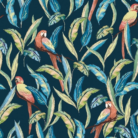 Timor Indigo Tropical Parrot Bird Wallpaper