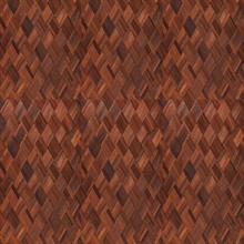 Tinto Cinnamon