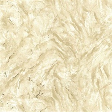 Titania Gold Marble Texture Wallpaper