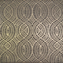 Tortoise