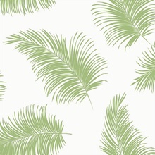 Tossed Palm Botanical Summer Fern Peel and Stick Wallpaper