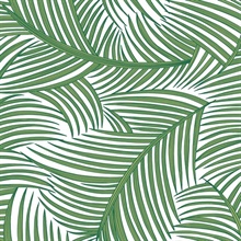 Tossed Palm Fronds Botanical Greenery Peel and Stick Wallpaper