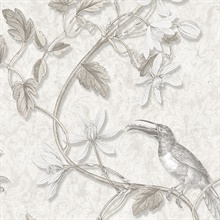 Toucan Bird On A Vine Beige Wallpaper
