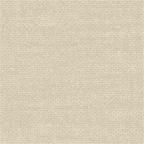 Transitional Texture