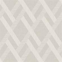 Trellis 54 Abaca White & Off White Commercial Wallpaper