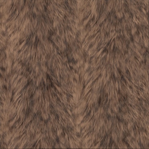 Trieste Brown Wolf Wallpaper