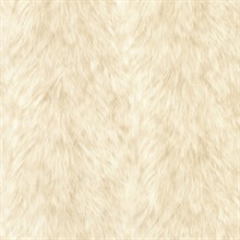 Trieste Cream Wolf Wallpaper