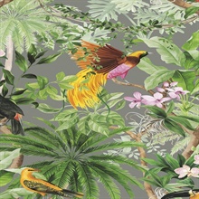 Tropical Bird Botanical Grey Peel and Stick Wallpaper