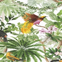 Tropical Bird Botanical White Peel and Stick Wallpaper