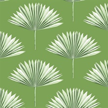 Tropical Fan Palm Botanical Green Sprout Peel and Stick Wallpaper