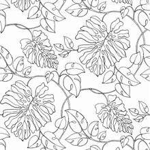 Tropical Linework Botanical Black & White Peel and Stick Wallpaper