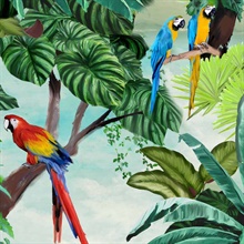 Tropical Macaw Wallpaper