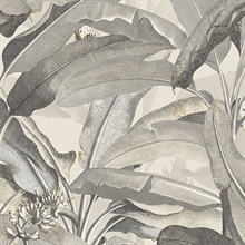 Tropical Polynesian Beige & Black Leaves Wallpaper