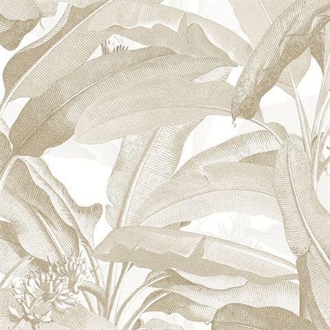 Tropical Polynesian Beige Leaves Wallpaper
