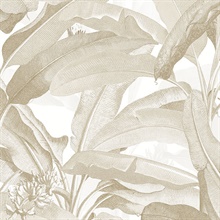 Tropical Polynesian Beige Leaves Wallpaper