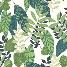 Tropicana Tropical Leaf White Wallpaper