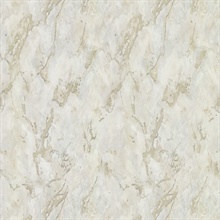 Turkish Cararra Golden Nuggets Marble Stone Wallpaper