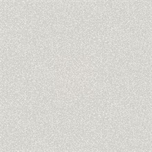 Twinkle Grey Texture Wallpaper