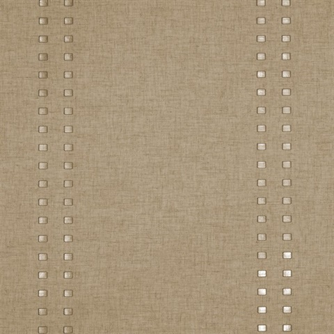 V : Studs And Stripes Vertical Champagne on Berry Beige Classic Linen