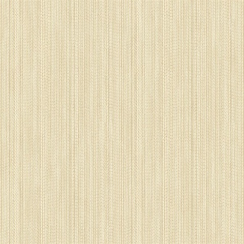 Vail Champagne Texture