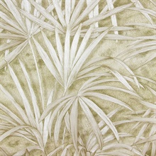 Veneto Champagne Palm Tree Wallpaper