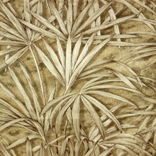 Veneto Copper Palm Tree Wallpaper