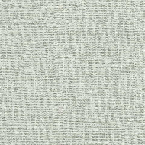 Village Olive