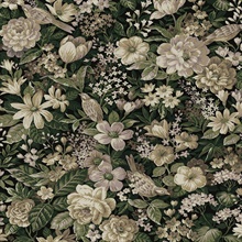Vintage Bird Garden Botanical Green & Mauve Peel and Stick Wallpaper