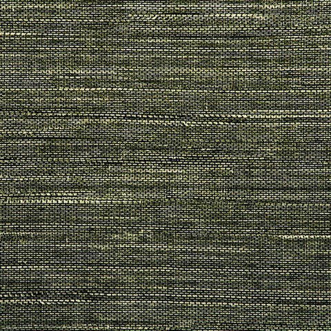 Vinyl Abaca Fern